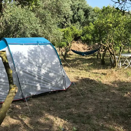 Masali Camping ラグジュアリーテント